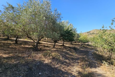 Villa i Collesano, Palermo, Collesano - € 108.000 | Ref: 10567 - foto 6